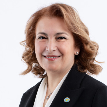 IYI - Ayşe Sibel Yanıkömeroğlu